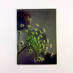 🌿🌱5x7 Green Botanical Print